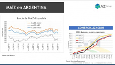 Maíz: Buen comienzo para los cultivos en EE.UU., ¿nos afecta?; con Lorena D´Angelo - Clínica de Granos