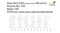 Maíz: en medio de tantas noticias negativas, aparecen días de oportunidades, con Paulina Lescano - Clínica de Granos 