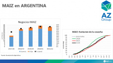 Maíz: Más negocios del cereal con el avance de la cosecha local, con Lorena D´Angelo - Clínica de Granos
