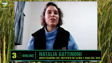 ¿Qué tan intenso en lluvias será El Niño según los modelos ENSO?; con Natalia Gattinoni - INTA Castelar