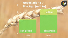 Todos esperando la gran volatilidad en soja y maíz, y es el trigo en Chicago el que nos tiene a mal traer con los movimientos de precios, con Paulina Lescano - Clínica de Granos