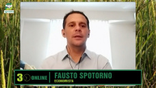 ¿Qué diferencias hay entre los Planes económicos de Patricia, Horacio y Milei?; con Fausto Spotorno - economista
