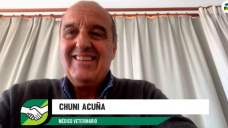 ¿Se puede lograr 92% de preñez con 87% de destete y marcación?; con Chuni Acuña