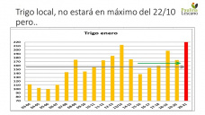 Trigo: poco espacio para nuevas bajas de producción, con Paulina Lescano - Clínica de Granos