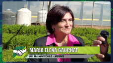 Modelos forestales con foco industrial y de captura de Carbono; con María Elena Gauchat - Dir. EEA - Montecarlo