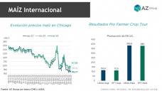 Maíz: El Crop Tour también dio sorpresas en el maíz, con Sofia Ganly - Clínica de Granos