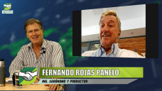 ¿Cómo planifica un productor y agrónomo sus siembras de Trigo en campo propio y arrendado; con F. Rojas Panelo