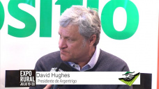 TV: ¿Sembrar o no sembrar más Trigo?, that´s the question; con D. Hughes - Pres. Argentrigo