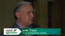 La producción ovina 