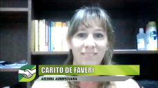 La agrónoma que desarrolló sistemas asociativos con ganaderos Pyme; con Carito De Faveri