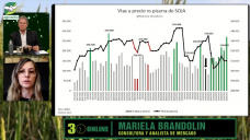 Mejorando los Márgenes / Ha: vender Maíz, aguantar la Soja, apostar al Trigo; con Mariela Brandolin - analista