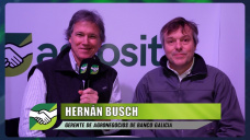 ¿Hay plata si llueve para salir a sembrar y comprar insumos?; con Hernán Busch - Gte. Galicia