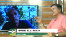 ¿Cómo funcionan las 5 Reglas para tener 91% de destete y no morir en el intento?; con M. Rojas Panelo