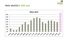 Maíz: ¿Y ahora quién podrá detenerlo?, con Paulina Lescano - Clínica de Granos