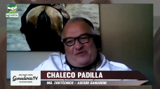 Oportunidades 2021 para invertir en Ganadería en campos del NOA; con Chaleco Padilla 