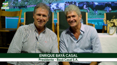 Retener y ganar más kilos: la Ganadería intensiva con Pasturas como motor de crecimiento: con E. Baya Casal - agrónomo