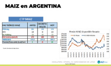 Maíz: Se vendió poco cereal sin derechos de exportación; con Lorena D´Angelo - Clínica de Granos
