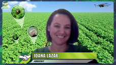 Detección de plagas, malezas y enfermedades con drones + inteligencia artificial; con I. Lazar y D. Werner