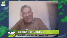 ¿Sirve o no sirve que Argentina se enfoque en la Bioeconomía exportadora?, con Mariano Winograd - agrónomo