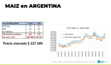 Con menor DEX, el precio del Maíz podría no subir; con Lorena D´Angelo - Clínica de Granos