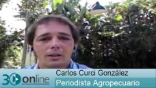 30 online B4: ¿Vale la pena sembrar o hacer ganadería en Colombia?; con C. Curci