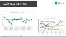 Maíz: Precios locales mejores que los internacionales, con Lorena D´Angelo - Clínica de Granos