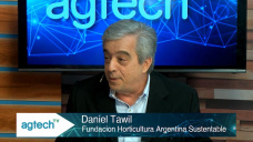 Israel y la hipertecnología agrícola sin suelos, sin agua y con un sol rajante; con Daniel Tawil