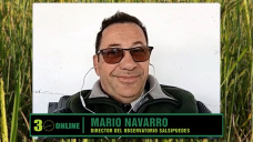 Mario Navarro el climatólogo que pronostica Neutro a Niño, con lluvias y mucho 