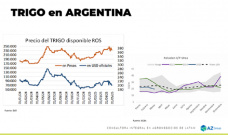 Trigo: ¿seguirá bajando el cereal? ; con Lorena D´Angelo - Clínica de Granos