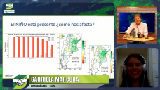 Un Niño que estadísticamente traería lluvias entre Octubre y Febrero; con Gabriela Marcora - climatóloga SMN