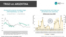 Trigo: mercado, y embarques de trigo en los niveles más bajos, con Sofía Ganly - Clínica de Granos