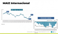 Maíz: Mejora local del precio superior a Chicago; con Lorena D´Angelo - Clínica de Granos