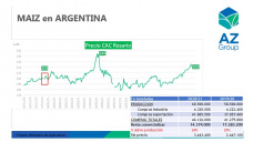 Maíz: La falta de lluvias y la demanda impulsa los valores del cereal, con Lorena D´Angelo - Clínica de Granos