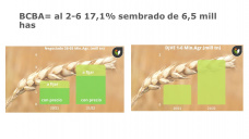 Trigo: que miramos Chicago o mercado local?, con Paulina Lescano - Clínica de Granos