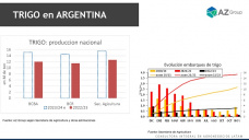 Trigo: Con más cosecha no hay desabastecimiento; con Lorena D´Angelo - Clínica de Granos 