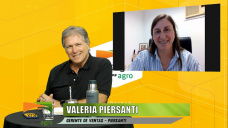 Nuevos cabezales Draper flexibles, rígidos, y para hilerado; con Valeria Piersanti