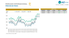 Trigo: el conflicto en medio oriente como factor alcista del cereal; con Clara Treachi - Clínica de Granos
