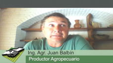 TV: ¿Cómo está manejando su campo un productor CREA inundado? con Juan Balbín