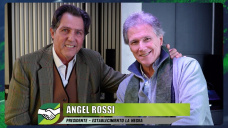 ¿Cómo encara Ángel Rossi el dueño del Estab. La Negra, 