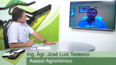 TV: Por donde pasan las nuevas tendencias agronómicas en zonas de alta producción; con J. L. Tedesco