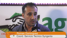 TV: ¿Cómo preparar bien los lotes para sembrar con tanta enfermedad y humedad? con R. Domínguez