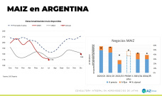 Maíz: Más demanda que oferta del cereal, ¿precios?; con Lorena D´Angelo - Clínica de Granos