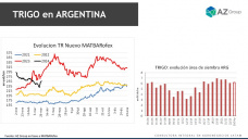 Trigo: Después de las lluvias más preguntan por el cereal 23/24, con Lorena D´Angelo - Clínica de Granos
