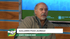 ¿Podemos volver a ser grandes jugadores de Girasol world class?; con G. Pozzi - Asagir 