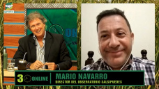 Buenas lluvias pero con 