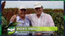 Tolerancia al pulgón amarillo y el Sorgo como gran ganador de la 22/23; con Vicente Trucillo - investigador 