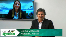 TV: ¿Si sobran 24 Mill Tons de Soja en EEUU que va a pasar con los precios?; con Celina Mesquida