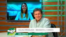 ¿Qué influencia puede tener en la Soja argentina el fin de la guerra Trump - China?; con Celina Mesquida