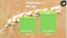 Trigo: de cuánto es el saldo exportable?, con Paulina Lescano - Clínica de Granos