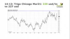 Trigo: nuevamente nuestro mercado se independiza, por suerte, con Paulina Lescano - Clínica de Granos